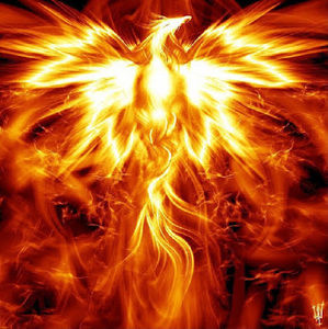 Meet your Posher, Amier